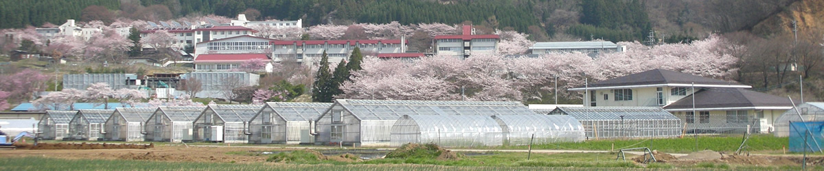 原種センターとは